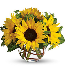 Sunny Sunflowers from Martinsville Florist, flower shop in Martinsville, NJ